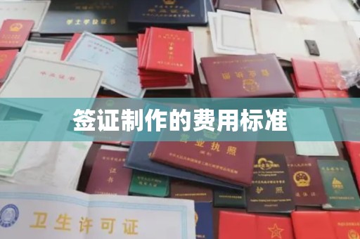 玛曲签证制作的费用标准